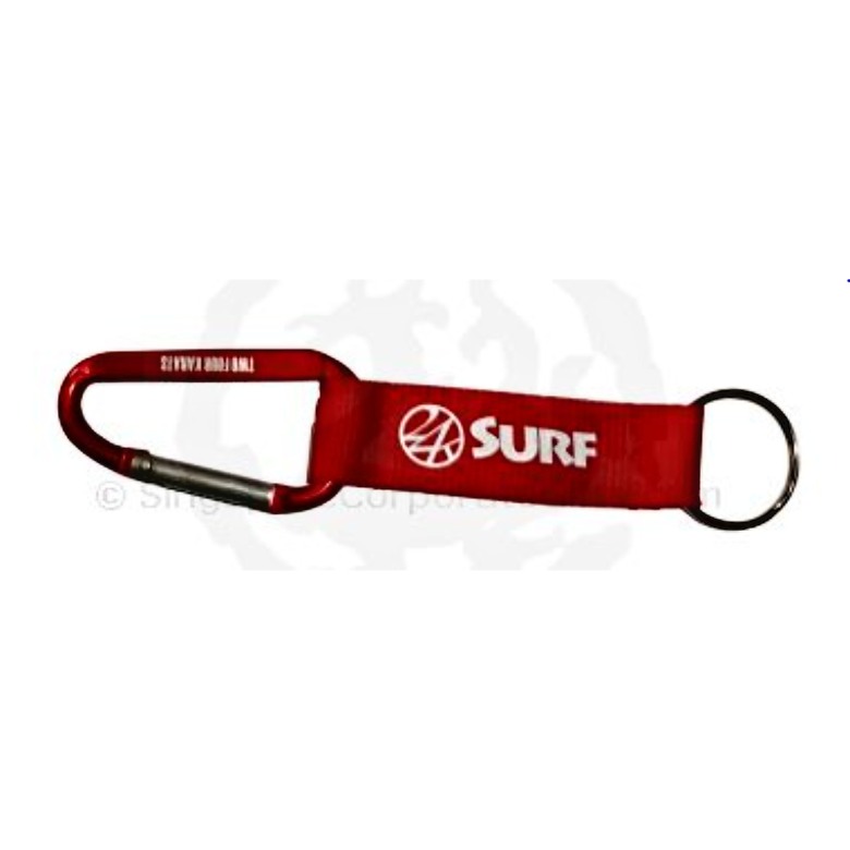 Carabiner with Metal Plate