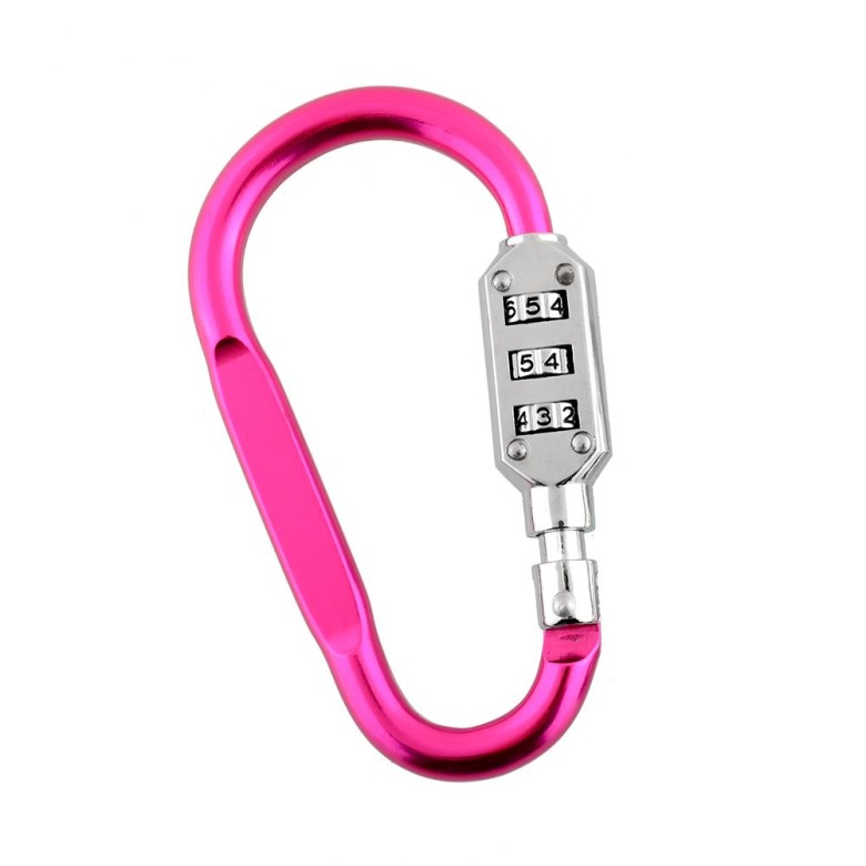 Carabiner Lock (3 combinations)