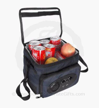 Cooler Bag with Radio 3