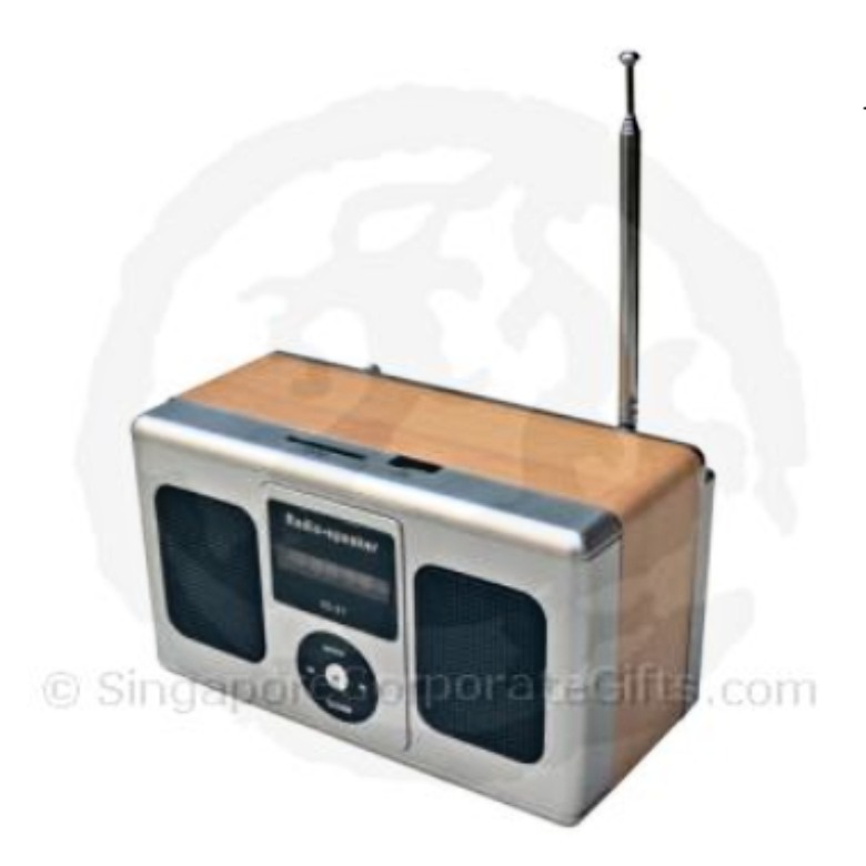 MP3 Speaker with Radio and Multi-Card Reader ID 21