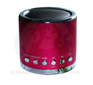 Cylindrical MP3 Speaker with Radio and TF Card amd USB Input