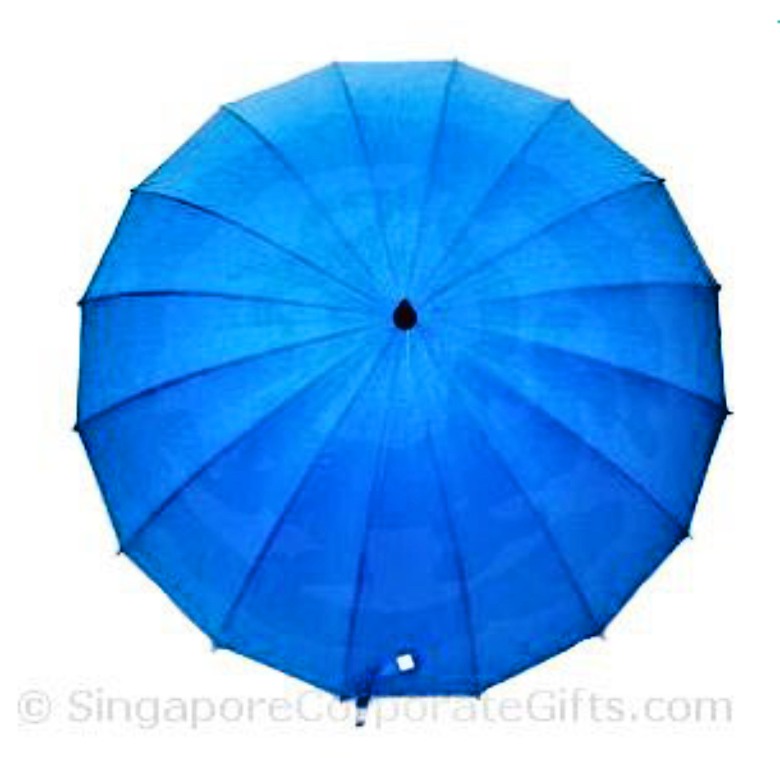 Umbrella with 16 Panels (24")