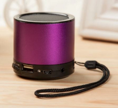 Speaker with radio (X2) Speaker with radio (X2)