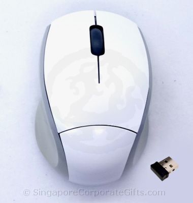 Wireless Mouse with Nano Transmitter (09)